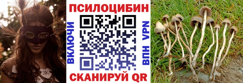 Галлюциногенные грибы мицелий  наркошоп  Нерчинск 