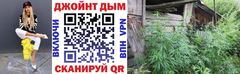 Бошки Шишки семена Нерчинск