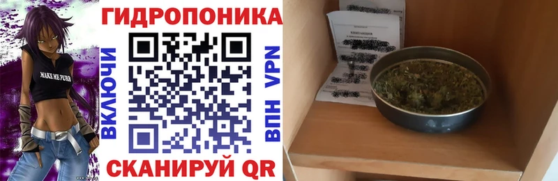 купить наркоту  Нерчинск  Шишки марихуана OG Kush 